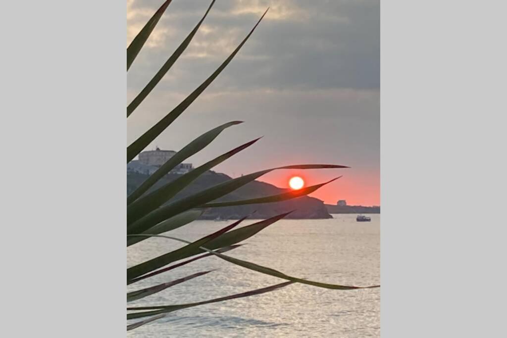 Beautiful 3 Bedroom Apartment By The Sea New Quay Exterior foto