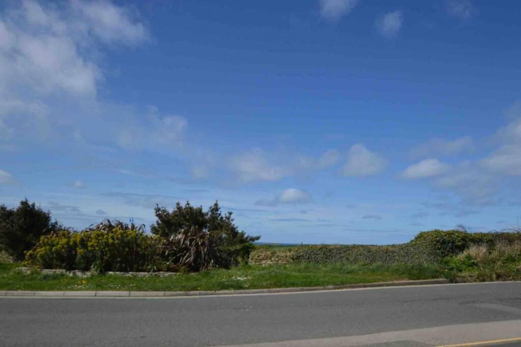 Beautiful 3 Bedroom Apartment By The Sea New Quay Exterior foto